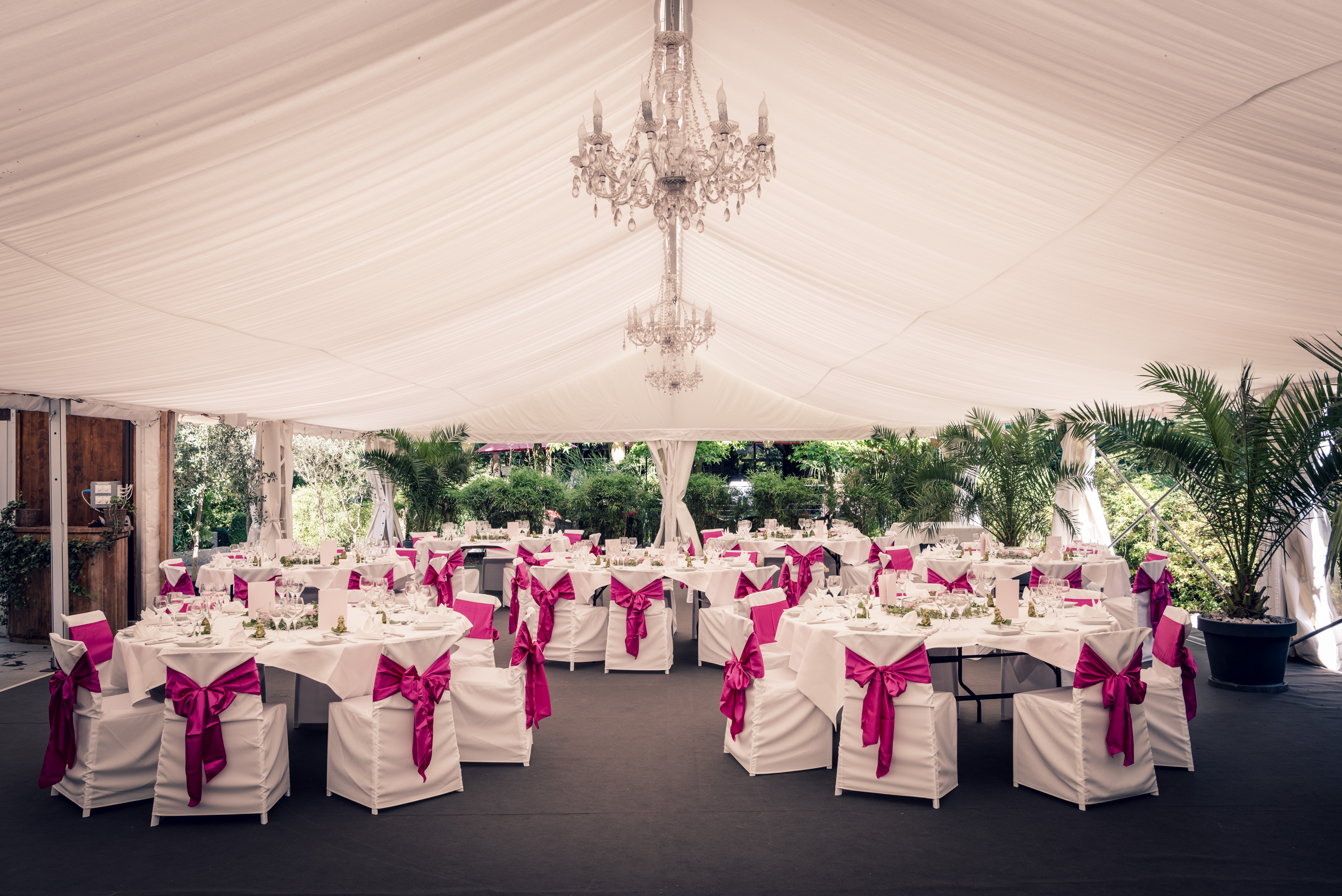 Mangosteen Catering, Zürich